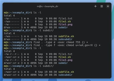 sudo chmod 755|File Permissions in Linux – How to Use the chmod .